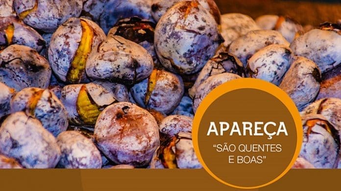 FestaSaoMartinho