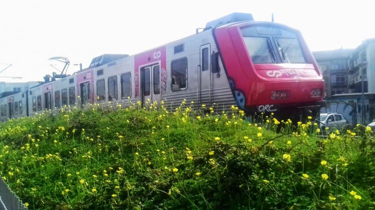 Greve na CP levou à supressão de 37 comboios - Sintra Notícias