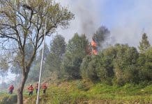 Controlado incêndio de “difícil acesso” em Rio de Mouro Velho
