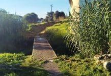Freguesia de Sintra recupera antigo caminho rural e pedonal