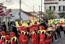 Carnaval com desfiles, bailes e animação nas ruas
