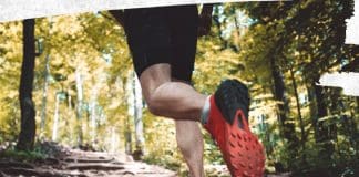 Cross-Run