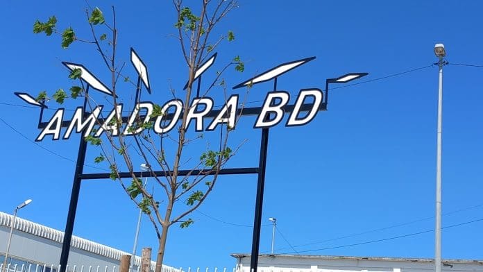 BD amadora SN