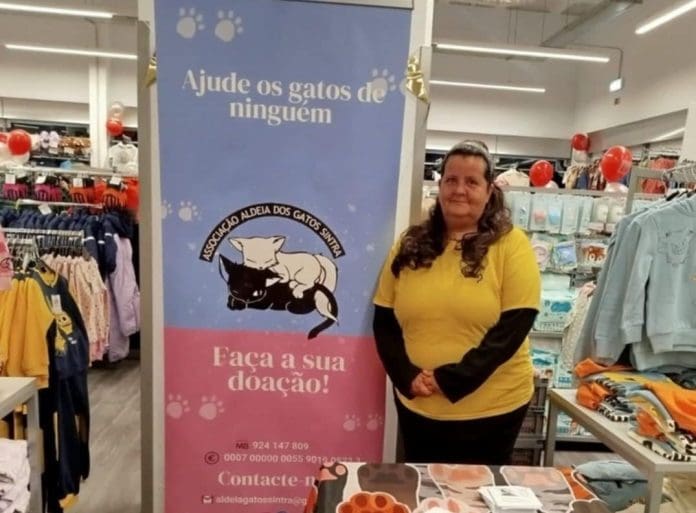 gatos4