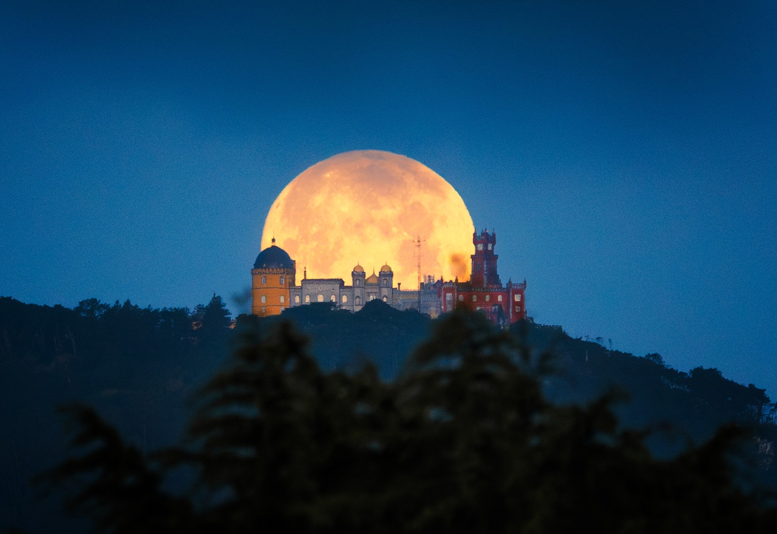 Serra de Sintra | 12 de fevereiro de 2025 | Foto de Rui Caires