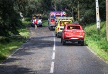Árvores caídas isolam bombeiros e casal acidentado em Sintra durante madrugada