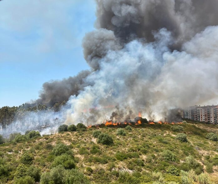 incendio7