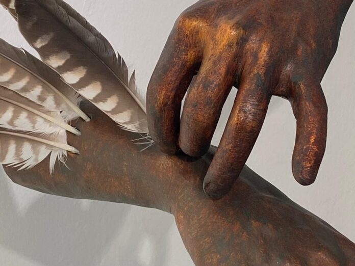 exposição tomas serrao
