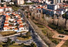 IP realiza trabalhos de arborização na EN 117 em Queluz