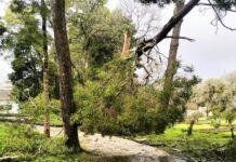 Quinta da Ribafria encerrada ao público devido a condições atmosféricas