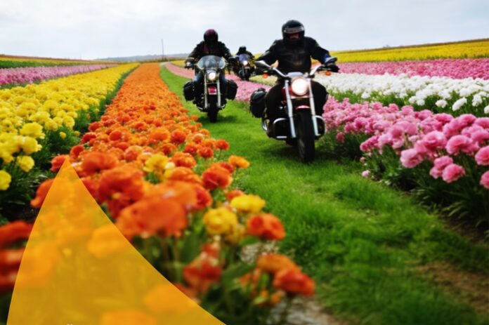 primavera1