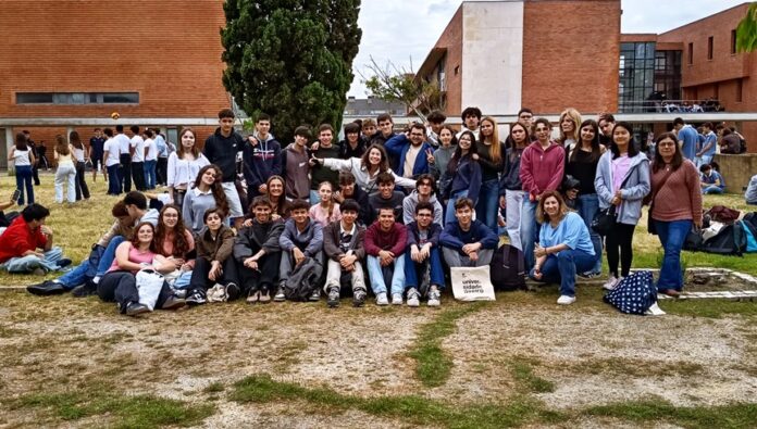 escola miguel torga3