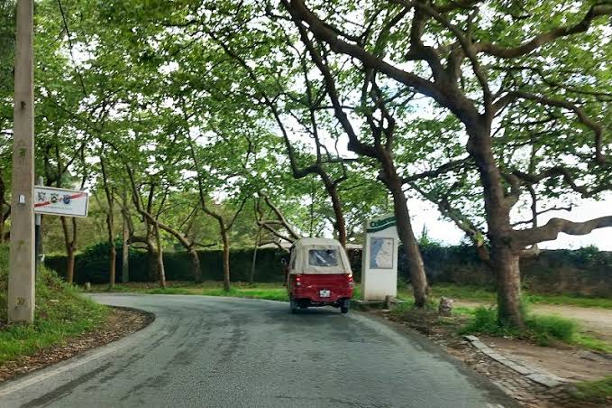 tuk tuk2