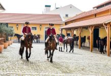 “Alma Ibérica” junta arte equestre, fado e flamenco no Campo Pequeno