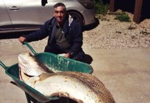 Pescador captura corvina com 66 quilos na Praia Grande, em Sintra