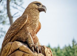 Aves de rapina e falcoaria vão levantar voo no jardim Pênsil em Queluz