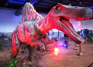 “Dinosauria Experience” leva o mundo dos dinossauros ao Cacém