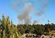 Incêndio em zona de mato mobiliza bombeiros na Tapada das Mercês