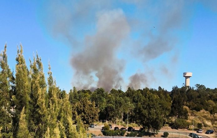 incendio foto francisco cardoso facebook