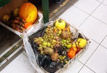 Operação em Massamá apreende 36,8 quilos de alimentos impróprios para consumo