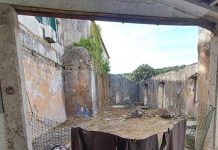 PSP fiscaliza lar ilegal em Belas e deteta alegados maus-tratos a idosos